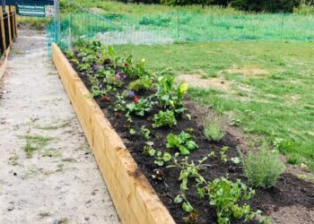 Could you support the creation of a community garden?