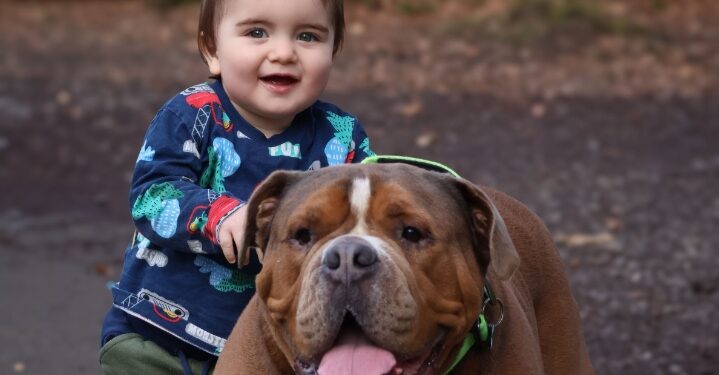 Meet the unlikely duo who are breaking stereotypes around large dogs