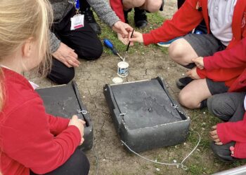 Pupils help install bat boxes