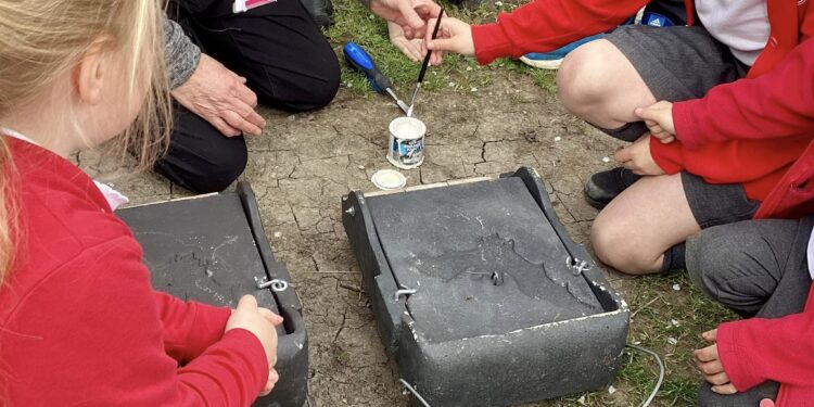 Pupils help install bat boxes
