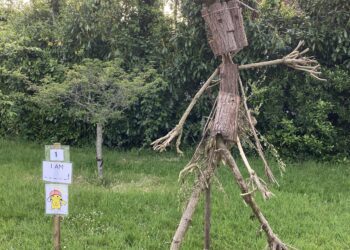 Dilton Marsh scarecrow trail is a big success