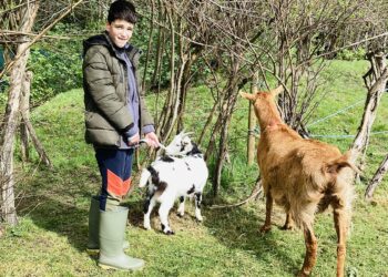 Growing success of school farm