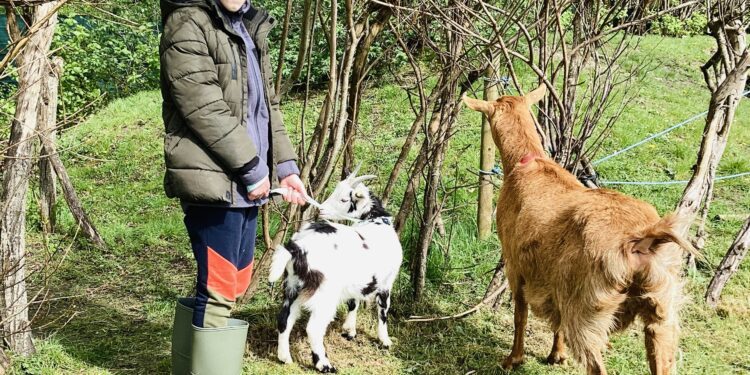 Growing success of school farm