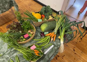 Organisers planting the seed for Dilton Marsh Flower and Handicraft Show
