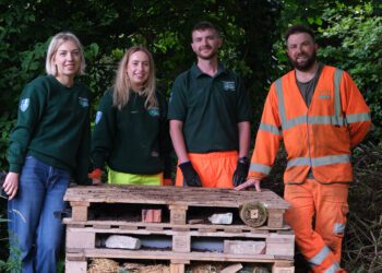 Bug hotels built to support wildlife
