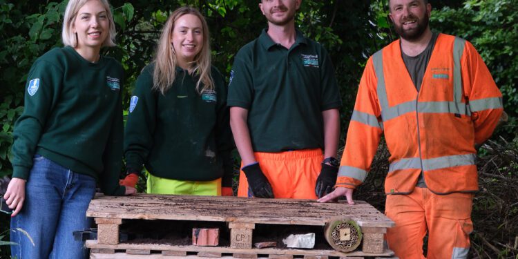 Bug hotels built to support wildlife