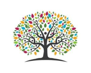 Discover your roots with family history open day