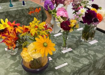 Dilton Marsh Flower and Handicraft  Show blossoms  with success