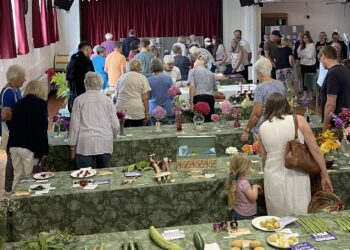 Planning underway for 2025 Dilton Marsh Flower and Handicraft Show