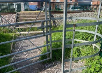 Further calls for urgent safety upgrades to hazardous rail crossing