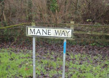 New homes proposed on land west of Westbury – have your say