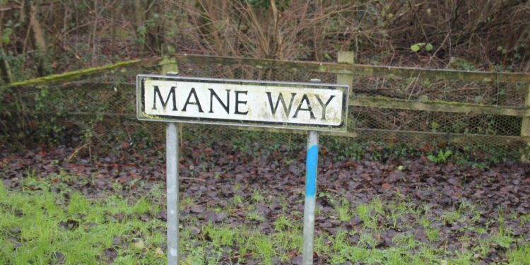 New homes proposed on land west of Westbury – have your say