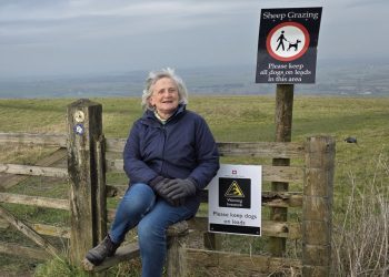 Memorial kissing gate for Westbury walker stalled by delays