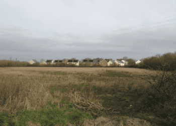 Wiltshire Council under fire over bridge delay