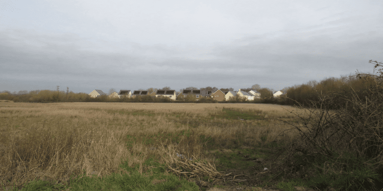 Wiltshire Council under fire over bridge delay