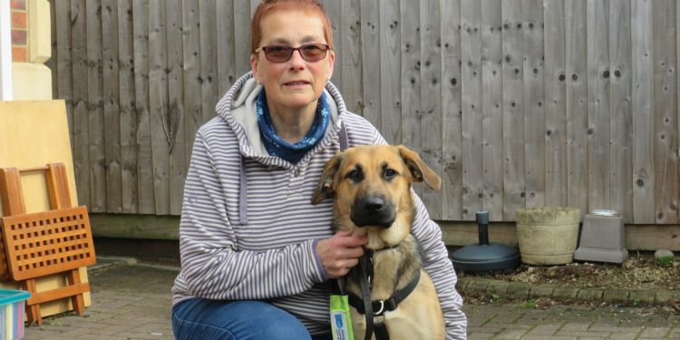 Westbury fundraiser marks adoption of 55th guide dog puppy