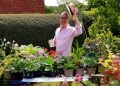 Enjoy Bratton’s beautiful gardens and raise money for charity