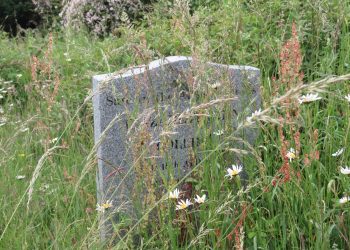 “Lack of respect” at graveyard, say families