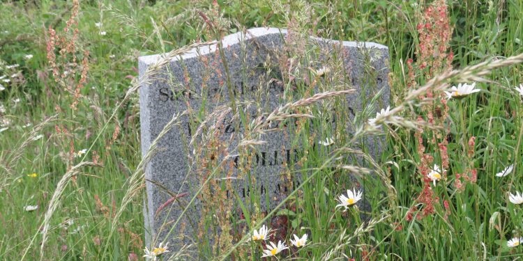 “Lack of respect” at graveyard, say families