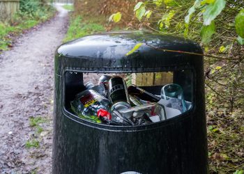 Help out at community litter pick