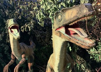 Step into a summer adventure at Whitehall’s Fairy & Dinosaur Grotto