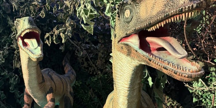 Step into a summer adventure at Whitehall’s Fairy & Dinosaur Grotto
