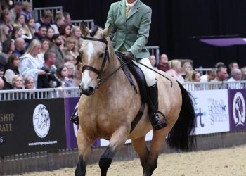 Westbury rider competes at prestigious Horse of the Year Show