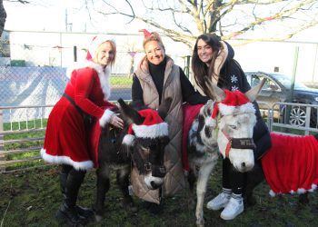 Community turns out for Drae at Christmas fundraiser