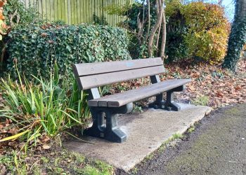 New benches enhance Westbury’s green spaces