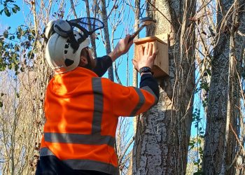 Christmas countdown starts in Westbury this weekend