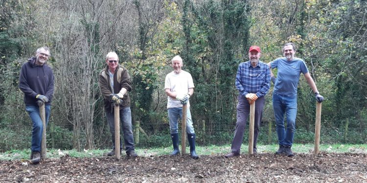 Work continues at community orchard