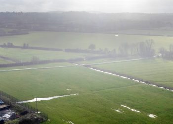 Work on 43-hectare solar farm expected to start this year