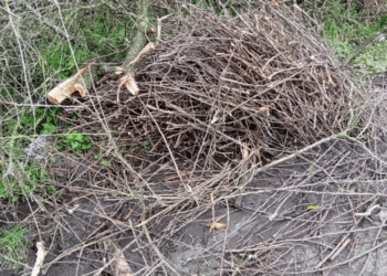 Resident fined after fly-tipping caught on CCTV