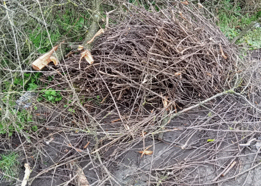 Resident fined after fly-tipping caught on CCTV