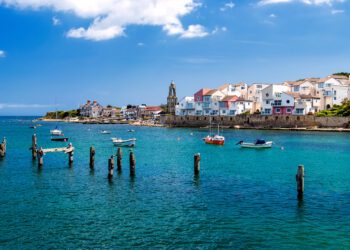 Charity coach trip to Swanage