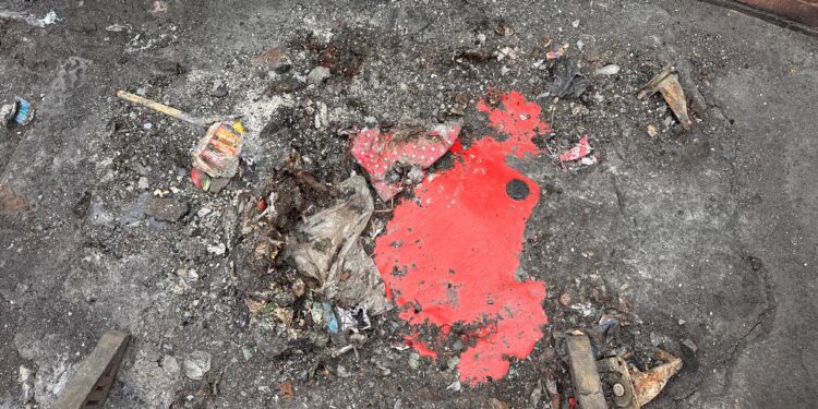 Police investigate arson attacks across Westbury