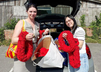Craft group appeals for volunteers for Remembrance tribute