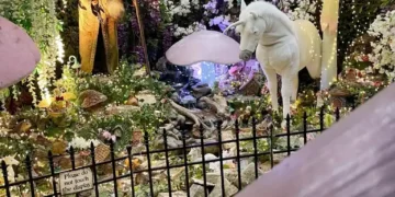 Fairy and jungle walk at Whitehall