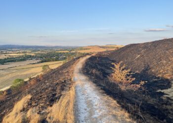 Visitors spotted smoking at White Horse 48 hours after fire