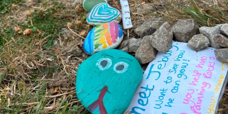 Community helps children’s rock snake grow