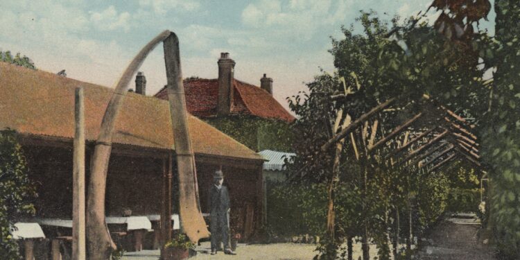 Bratton as a holiday destination